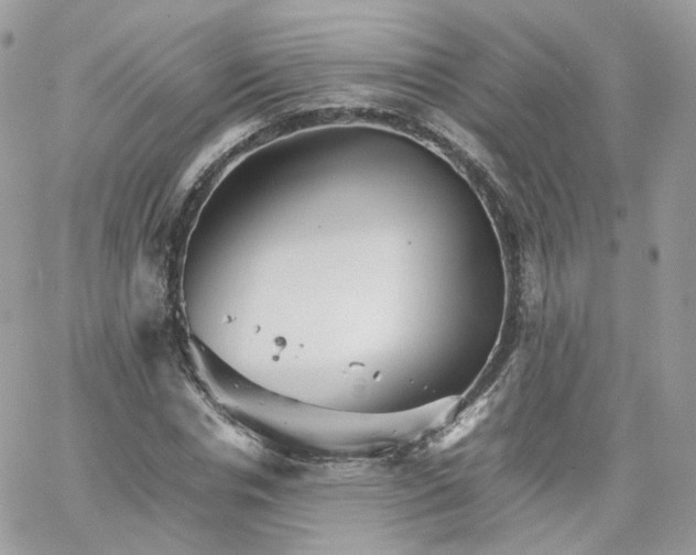 X0000066080826200603241429