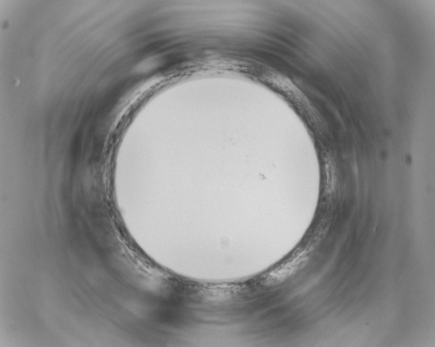 X0000066080828200603241429