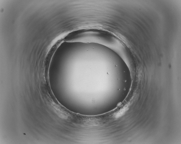 X0000066080830200603241429