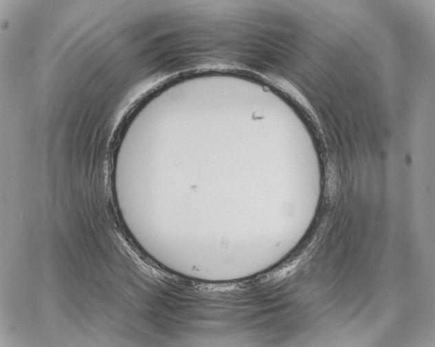 X0000066080831200603241429