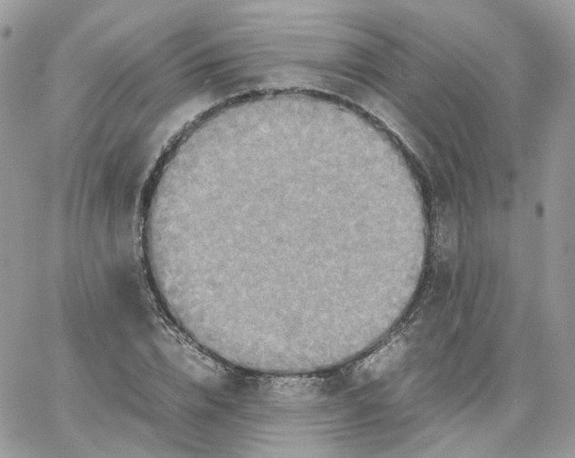 X0000066080832200603241429