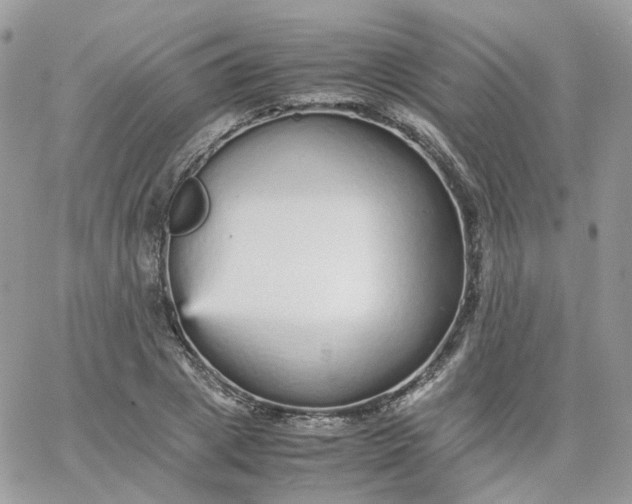 X0000066080833200603241429