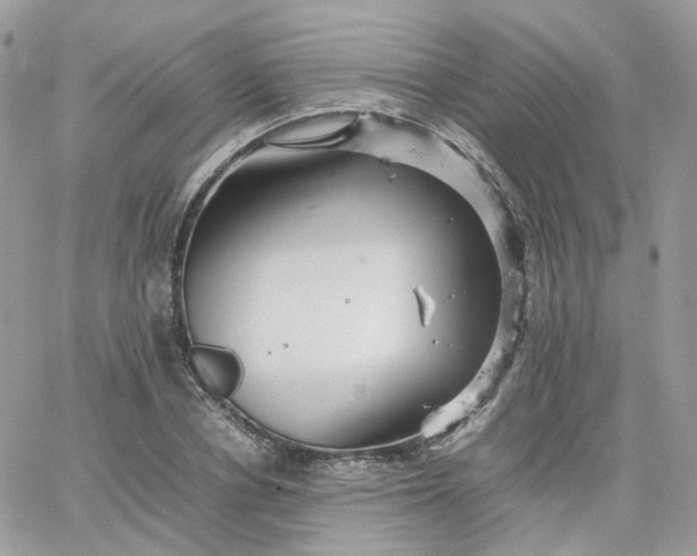 X0000066080834200603241430