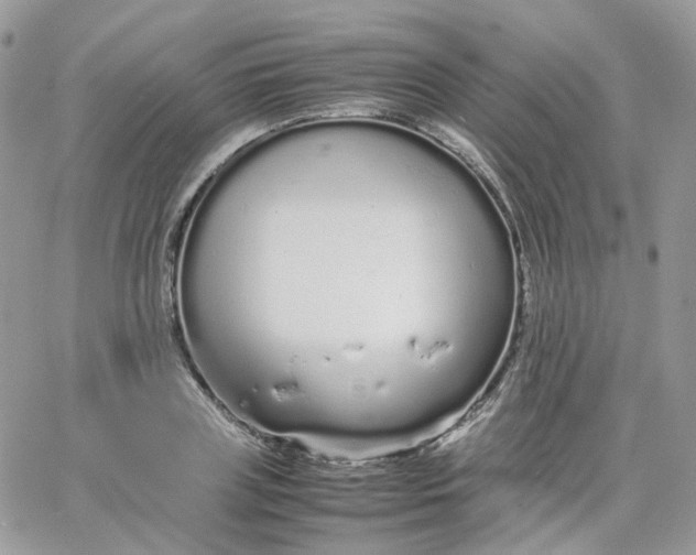 X0000066080835200603241430