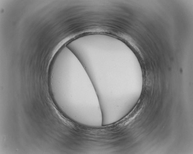 X0000066080837200603241430