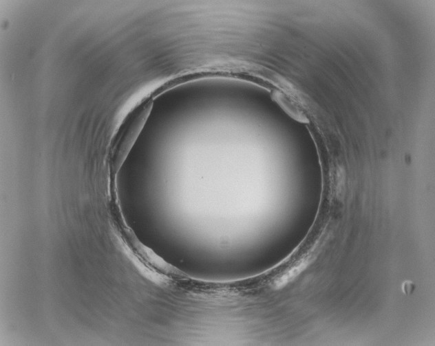 X0000066080838200603241430