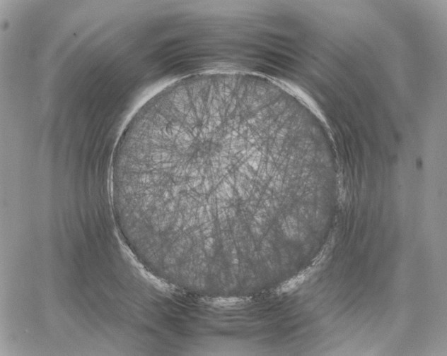 X0000066080839200603241430