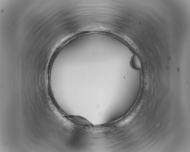 X0000066080840200603241430