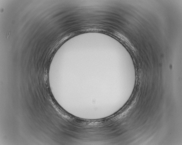 X0000066080841200603241430