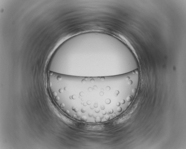 X0000066080843200603241430