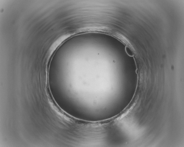 X0000066080844200603241430