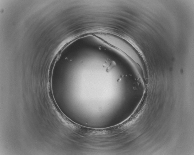 X0000066080845200603241430