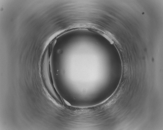 X0000066080846200603241430