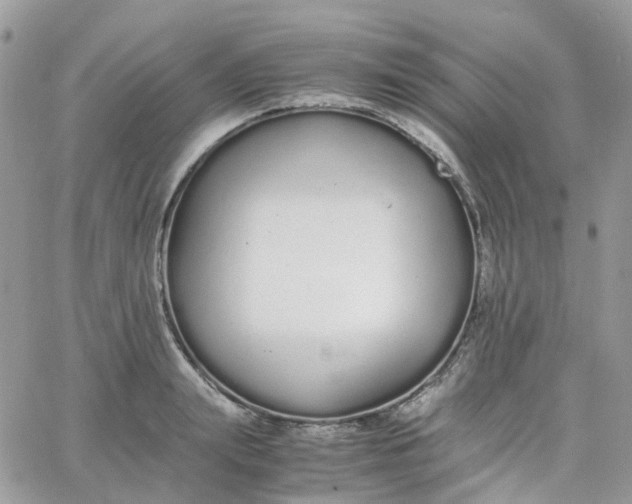 X0000066080847200603241430