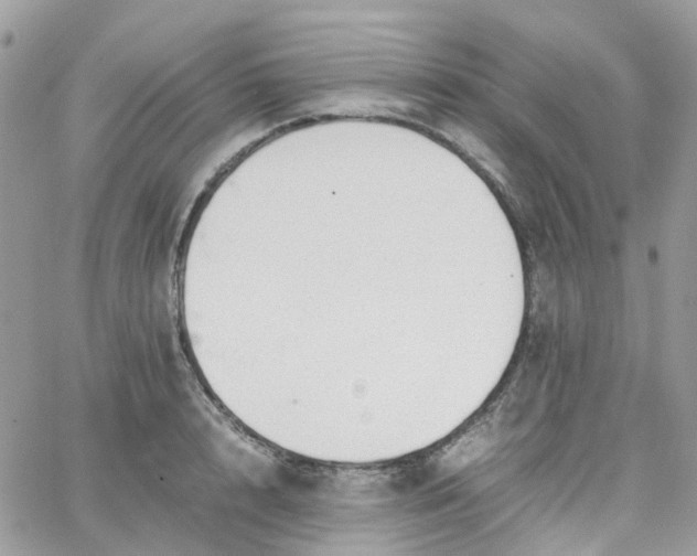 X0000066080848200603241430