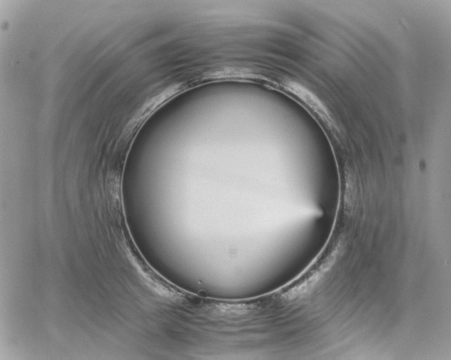 X0000066080849200603241430