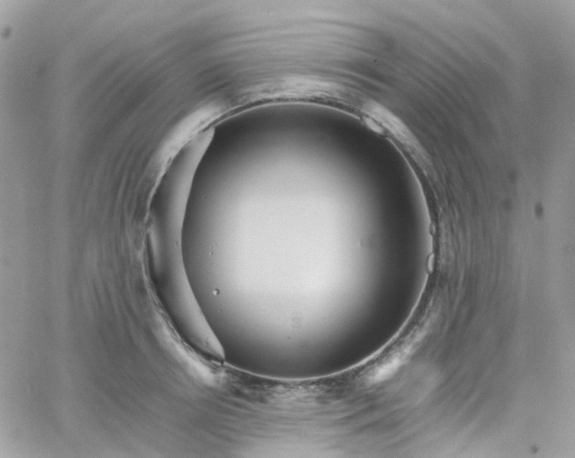 X0000066080850200603241430