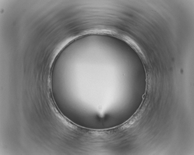 X0000066080852200603241430