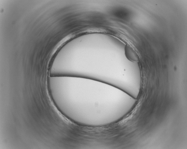 X0000066080853200603241430