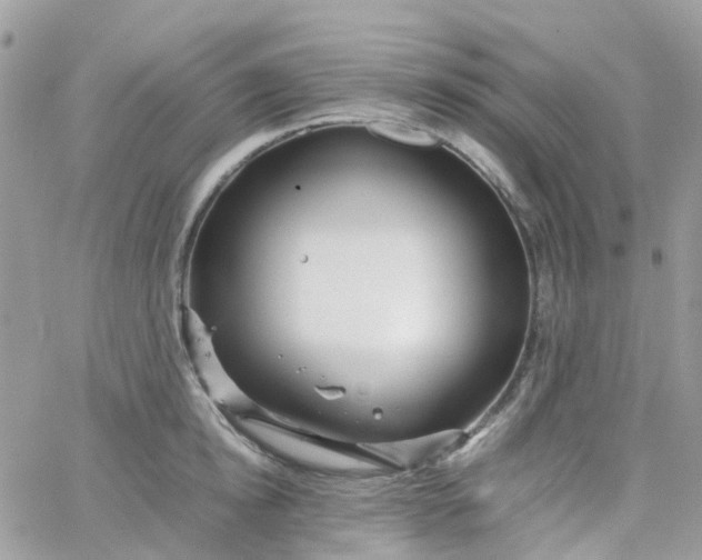 X0000066080854200603241430