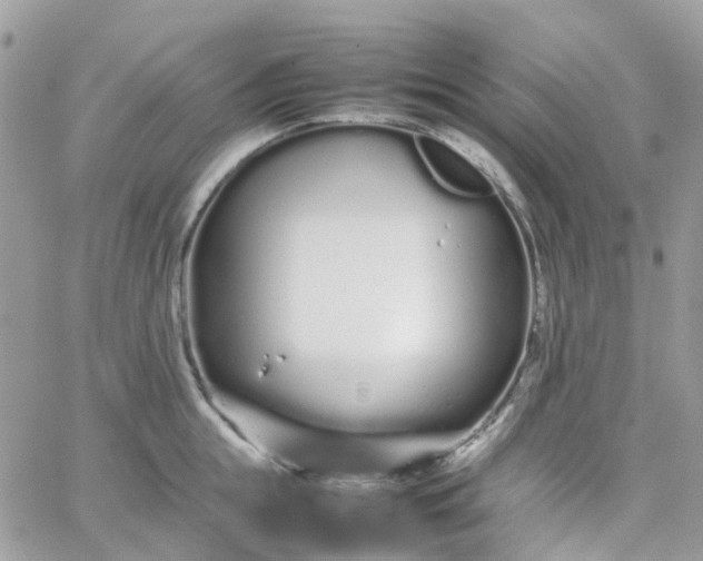 X0000066080855200603241430