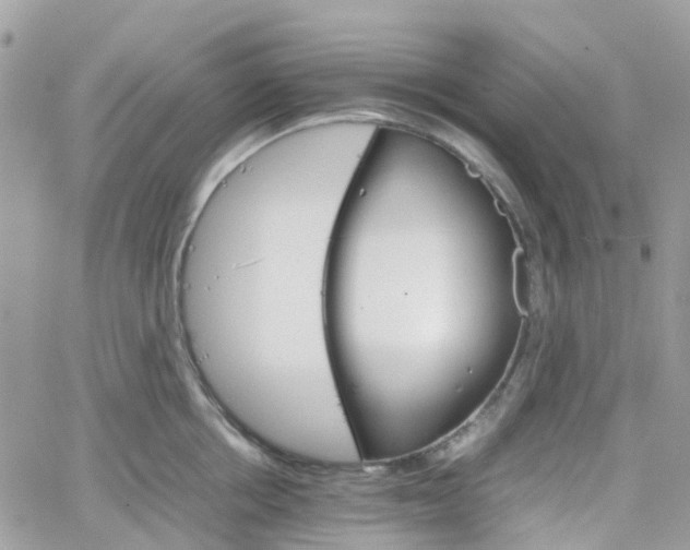 X0000066080858200603241430