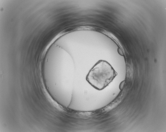 X0000066080859200603241430