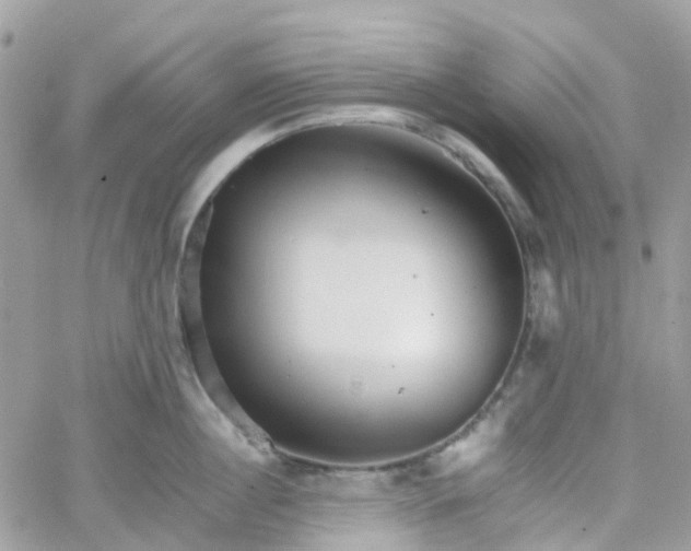 X0000066080860200603241430