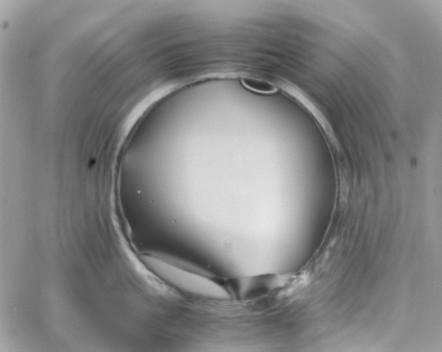 X0000066080861200603241430