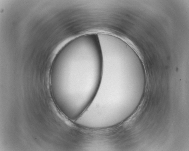 X0000066080862200603241430