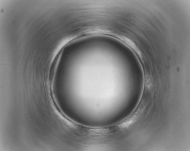 X0000066080863200603241430