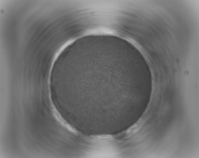 X0000066080864200603241430