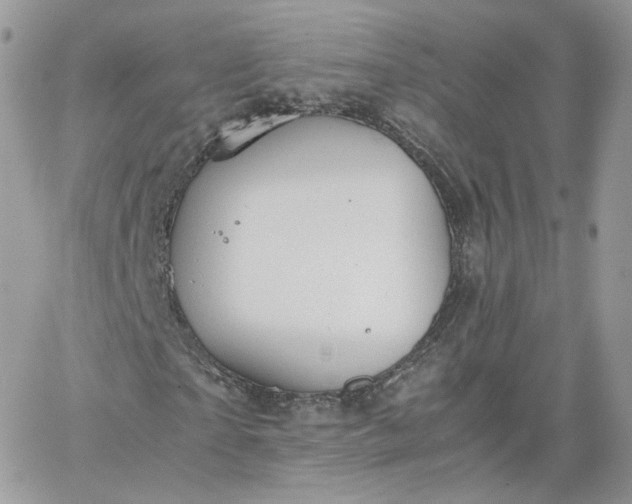 X0000066080865200603241429