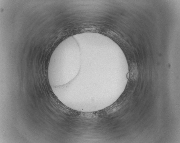 X0000066080866200603241429