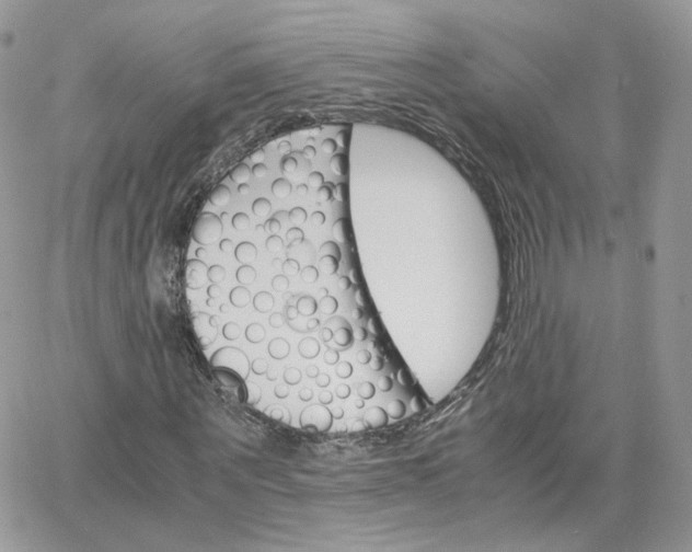 X0000066080867200603241429