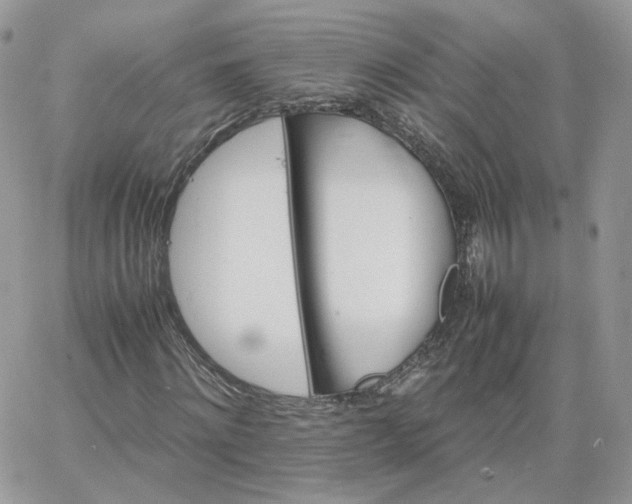 X0000066080868200603241429