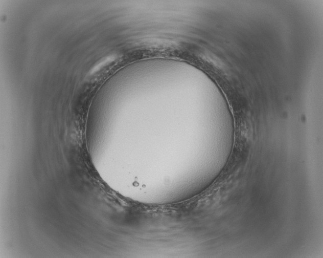 X0000066080869200603241429