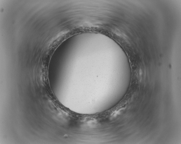 X0000066080870200603241429