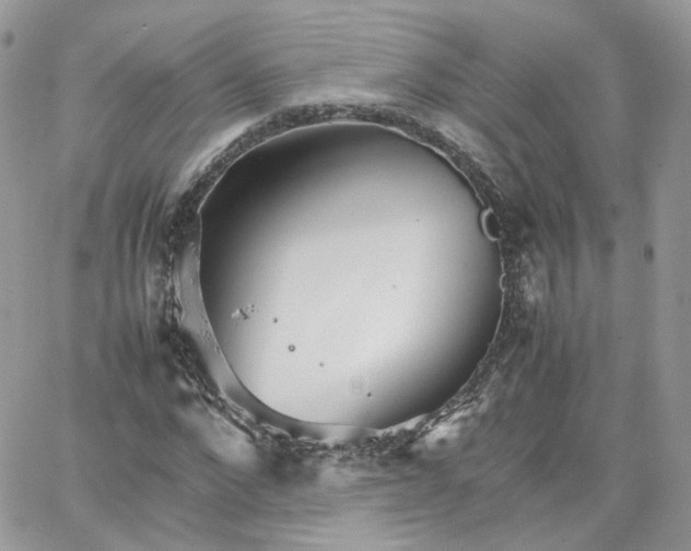 X0000066080872200603241429