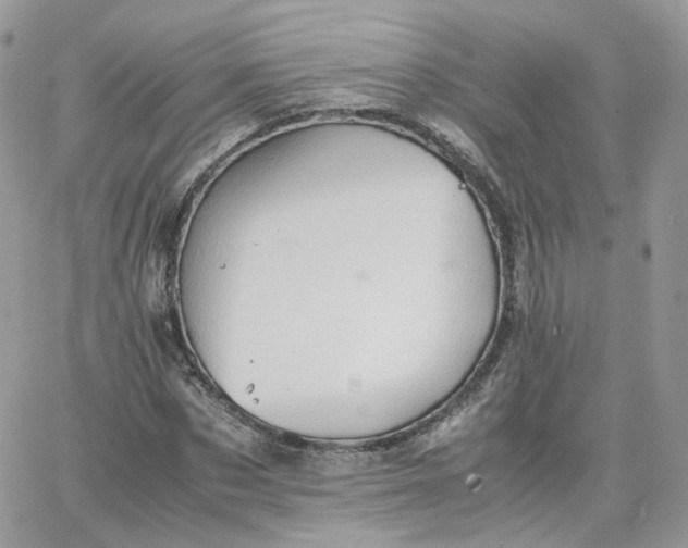 X0000066080873200603241429