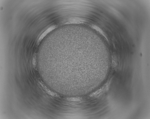 X0000066080874200603241429