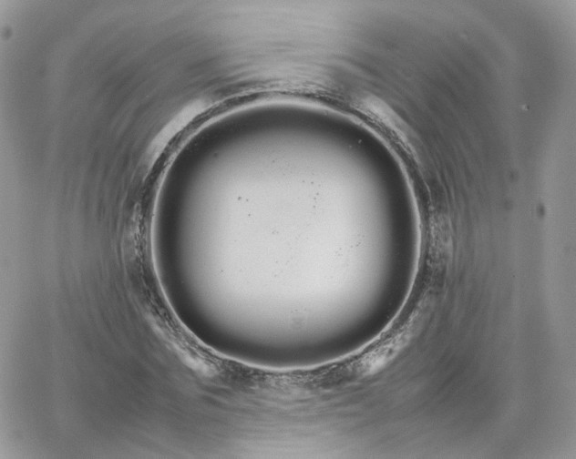 X0000066080875200603241429