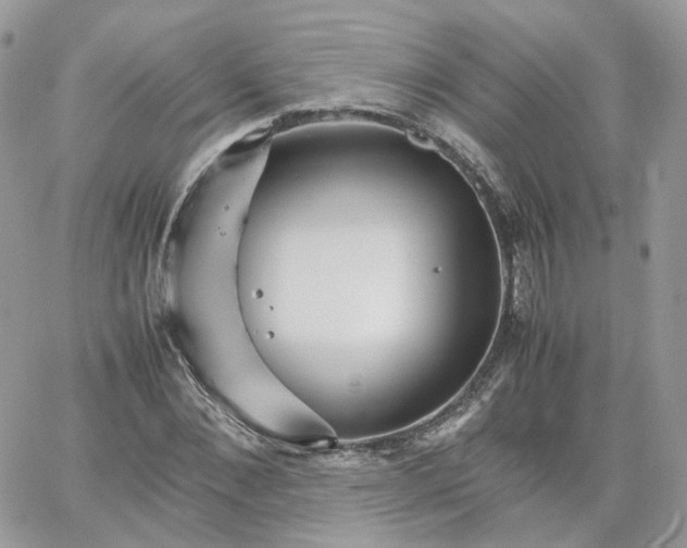 X0000066080876200603241429