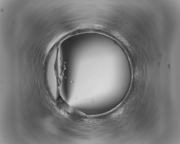 X0000066080877200603241429