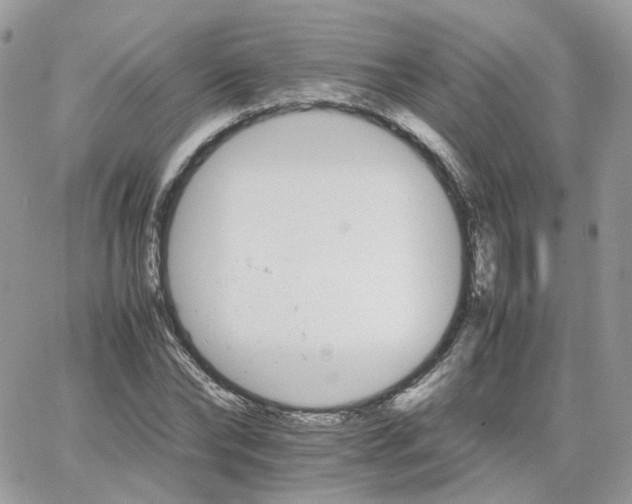 X0000066080878200603241429