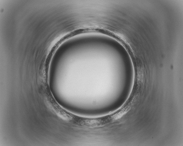 X0000066080879200603241429