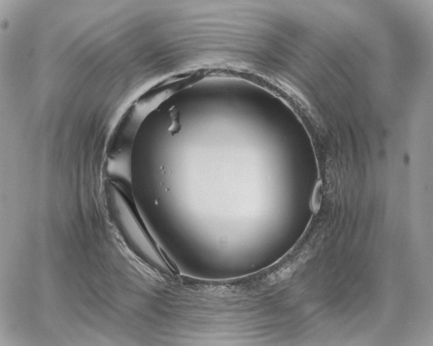 X0000066080880200603241429