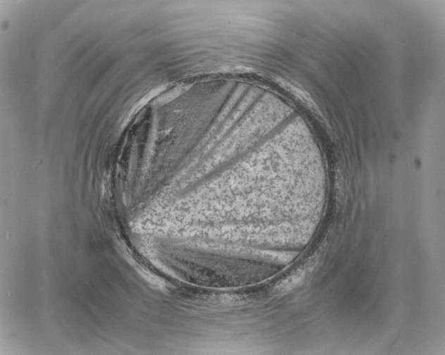 X0000066080881200603241429