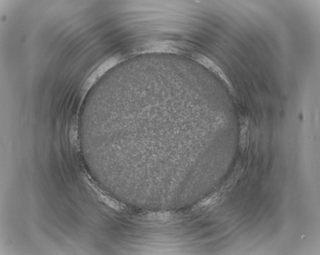 X0000066080882200603241429