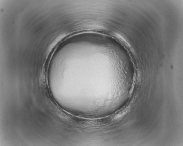 X0000066080883200603241429